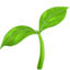 seedling on Apple