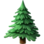 evergreen tree on Apple
