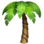 palm tree on Apple