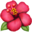 hibiscus on Apple