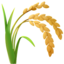 sheaf of rice on Apple