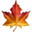 maple leaf on Apple