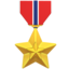 military medal on Apple