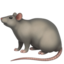 rat on Apple
