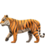 tiger on Apple