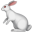 rabbit on Apple