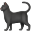 black cat on Apple