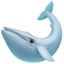 whale on Apple