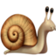 snail on Apple