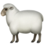 ewe on Apple