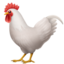 rooster on Apple