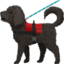 service dog on Apple