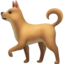 dog on Apple