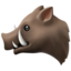 boar on Apple
