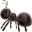 ant on Apple