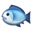fish on Apple