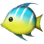 tropical fish on Apple