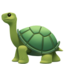 turtle on Apple