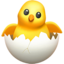 hatching chick on Apple