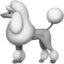 poodle on Apple