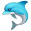dolphin on Apple