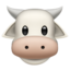 cow face on Apple