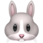 rabbit face on Apple
