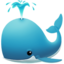 spouting whale on Apple