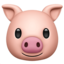 pig face on Apple