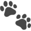 paw prints on Apple