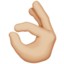OK hand: medium-light skin tone on Apple