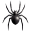 spider on Apple