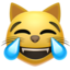 cat with tears of joy on Apple