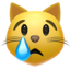 crying cat on Apple