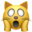 weary cat on Apple