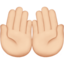 palms up together: light skin tone on Apple