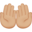 palms up together: medium-light skin tone on Apple