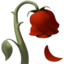 wilted flower on Apple