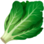 leafy green on Apple