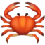 crab on Apple