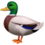 duck on Apple