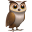 owl on Apple