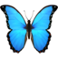 butterfly on Apple