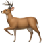 deer on Apple