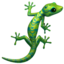 lizard on Apple