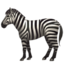 zebra on Apple