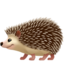 hedgehog on Apple