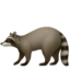 raccoon on Apple