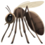 mosquito on Apple