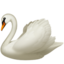 swan on Apple